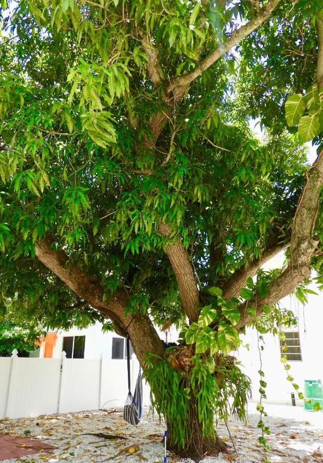 Beautiful Casita With King Bed And Private Patio Close To Calle 8, Mia Airport, Coral Gables Miami Eksteriør bilde